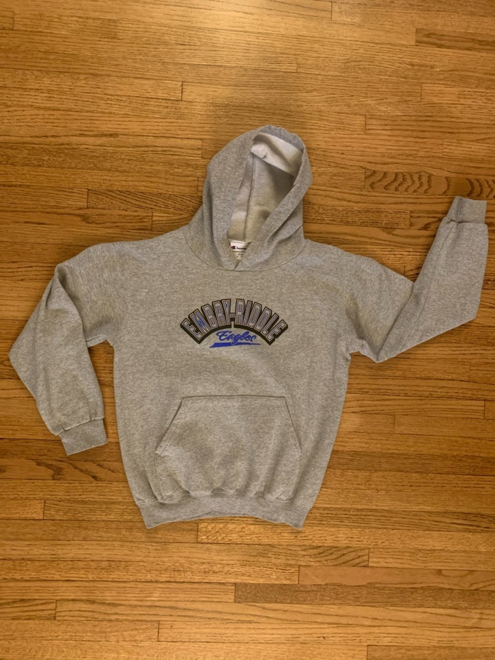Champion Embry-Riddle Eagles Youth Hoodie Gray Size L 10-12